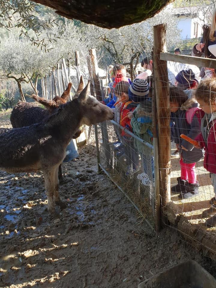 Tenuta Martino Aquara Eksteriør billede
